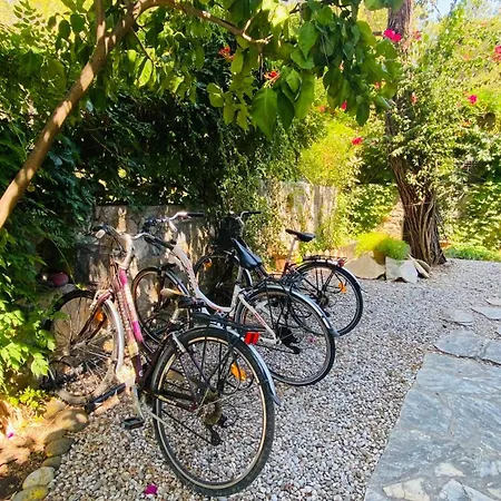 Yasemin Aparts Apartment *