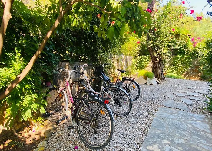 Yasemin Aparts Lägenhet *