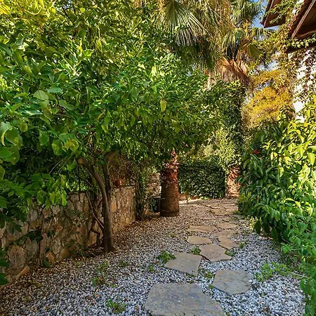 דירה Yasemin Aparts